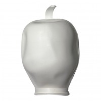 Груша на станцію біла 24 Л. з хвостом