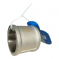 REIGER Муфта 2" нікель (48 шт.) ASG